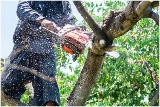 tree services Centerfield